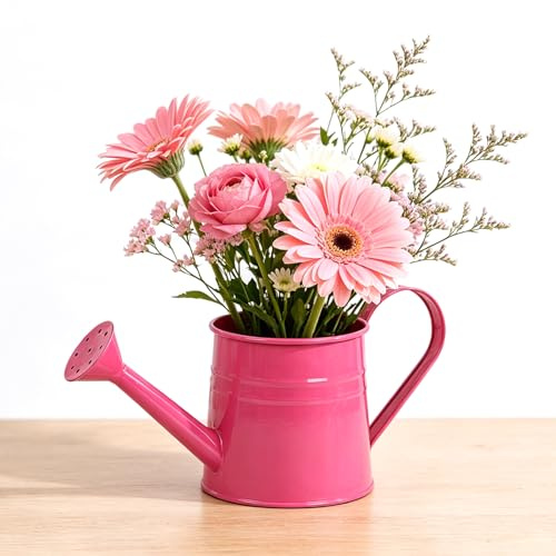 Regadera con Cabezal de aspersor, Boquilla Larga de Metal, Agarre cómodo, Mini pulverizador de Agua para riego y jardinería, sin Flor, Color Rojo Rosa