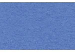 Ludwig Bähr 10 x Fotokarton 300g/qm 70x100cm dunkelblau