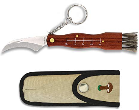 Albainox Pilzmesser – Mini, Pilzsammlung, Klinge 6 cm, Rovellons Holzgriff