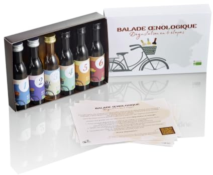 Coffret Dégustation 6 Vins Français Bio – Idée Cadeau – Bourgogne, Bordeaux, Alsace, Loire, Rhône, Languedoc – Rouges, Blancs et Rosé – 6 x 40 ml – E-Tasting
