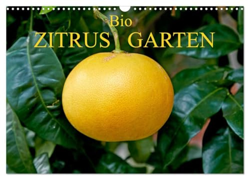 Bio Zitrus Garten (Wandkalender 2026 DIN A3 quer), CALVENDO Monatskalender: Ein fotografischer Streifzug durch den exotischen Citrus Garten CERON (CALVENDO Lifestyle)