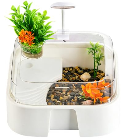 Sköldpadds Terrarium - Med Dekorationer Och Flyktsäker Utformning - Habitat För Landkrabbor Och Ödlor - För Orm Spindel Sköldpadda Räka Gecko Hamster Hemkontor Skrivbord