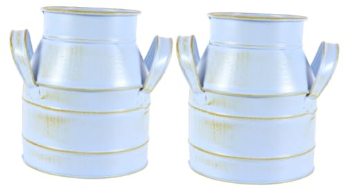 PRETYZOOM 2stücke Dekorativer Eisenblumeneimer Für Arrangements Vintage Blumentopf Für Zuhause Und Büro Für Kreative Deko Und Blumenschmuck