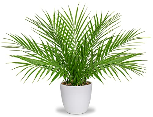 Oairse 40,6cm Kunstpflanze im Topf Künstliche Palme Deko Modern Kunstpalme Kunstpflanzen Kunststoff Pflanzendeko für Wohnzimmer Balkon Schlafzimmer Badezimmer Zimmer Tischdeko,Weiss