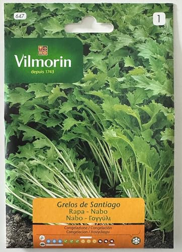 Semi Rapa Grelos de Santiago S1-647 13 Gr, Confezione da 10 bustine