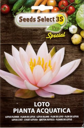 Seeds Select 3S Pro Semi di Loto, Pianta Acquatica, Fiore di Loto Rosa
