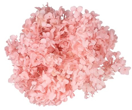 VICASKY Fiori Secchi Naturali Ortensia Rosa per Decorazioni DIY Bomboniere Art per Feste e Matrimoni