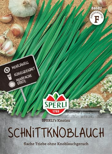 Sperli Schnitt-Knoblauchsamen SPERLI's Knolau | Mehrjährige Kräutersamen für aromatischen Knoblauchgeschmack | Knolau Schnittlauchsamen für Garten & Balkon