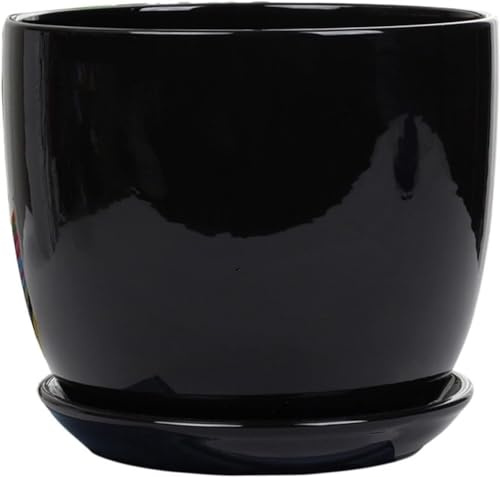 Maceta de cerámica grande blanco/negro, personalidad simple con bandeja, maceta verde para interiores y exteriores, para orquídeas, hierbas, flores, suculentas, cactus, hogar, oficina, balcón,