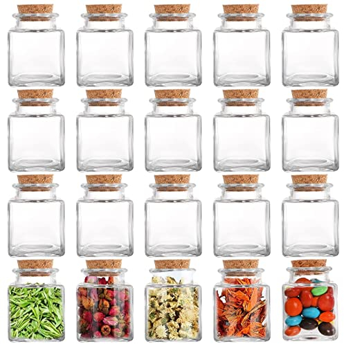 Dicunoy 20 Pack Glass Favor Jars with Cork Lids, 60ml Mini Square Glass Bottles with Stoppers for Herb Storage, Small Spice Containers for Tea, Jelly, Candy, Wedding, Favors, DIY Crafts