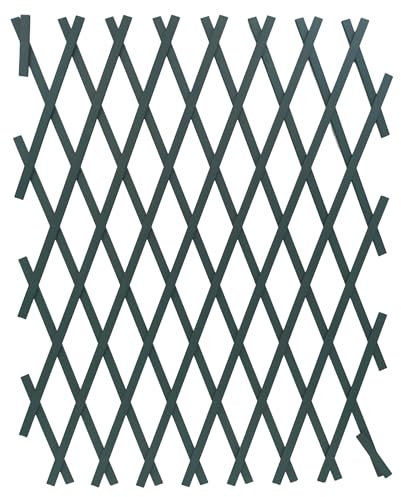 NG NICCOLAI - TRALICCIO ESTENSIBILE IN PLASTICA VARI COLORI E MISURE (1X1 MT, VERDE)