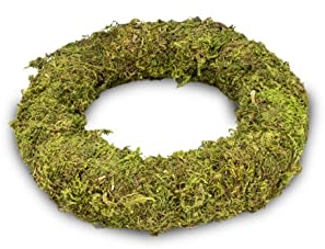 NaDeco Moos-Kranz mit Durchmessern von 10, 12, 15, 20, 25 & 30cm zur Auswahl | Moosring | Türkranz Basis | Kleiner Türkranz | Dekokranz | Naturkranz | Weidenkranz, Größe:Ø 15 cm