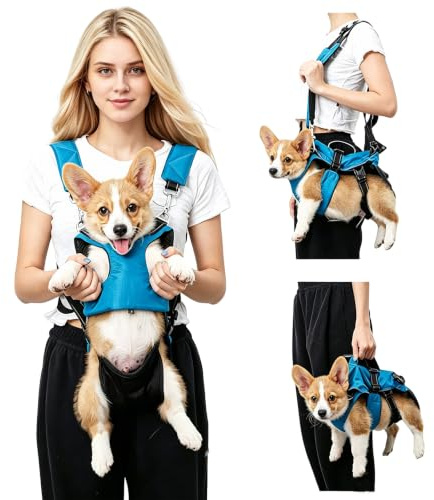 PETCUTE Haustier Rucksack Hundetragetasche,Verstellbare Brust Hunderucksack für Klein Hunde Katzen,Tragbare und Atmungsaktiv Haustier Tragetasche mit reflektierendem Band,Bis zu 15 kg,für Reisen
