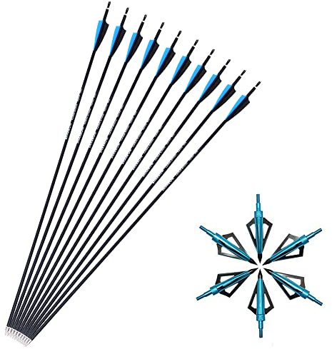 SHARROW 12st Bågskytte Kolpilar 30 tum Jaktpilar Bågpilar Målpilar Spine 500 Kol Pilar med Utbytbara Pilspetsar för Recurvbågar Compound Båge(Typ 2: Blå)