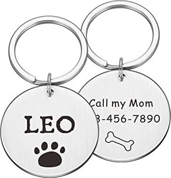 Haustier-ID-Tags Kundenspezifischer Name Adresse Haustier-Erkennungsmarken Katzenhalsband Haustier-ID-Erkennungsmarken Halsbänder Edelstahl-Katzenmarken-Zubehör, Silber, L 30 x 30 mm