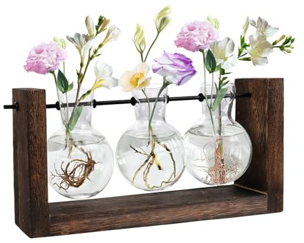 Pflanzen-Anzuchtstation, Pflanzen-Terrarium mit Holzständer, Wandbehang, Glas-Pflanzgefäß, Pflanzgefäß, Anzuchtvase für Innenbereich, Büro, Zuhause, Tischplatte, Garten, Dekoration, Pflanzenliebhaber,