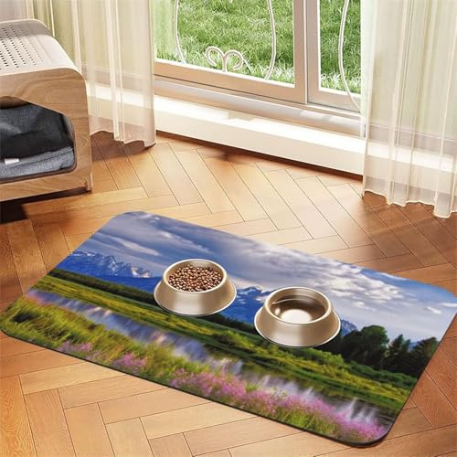 Grand Teton National Park Hundefuttermatten für Böden, 30,5 x 45,7 cm, rutschfeste, super saugfähige Haustierfuttermatte, Geschirrspüler-Hundematte für Futter und Wasser, niedlich, Gummi, schnell