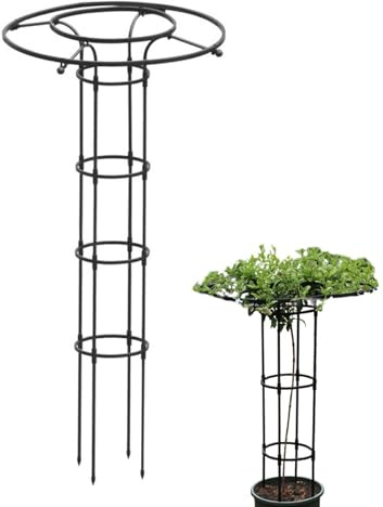 Griglia per rampicanti all'aperto, per piante rampicanti verticali, per piante d'appartamento, traliccio in metallo con forma a colonna, per fiori, piante d'appartamento e piante rampicanti