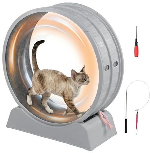 LEADZM Katzenlaufrad 80cm Durchmesser - Laufrad Katze aus Kunststoff, Inklusive Teppich und Katzenspielzeug, stabil und leise - Geeignet für Katzen mit einem Gewicht von höchstens 15 kg (Grau)