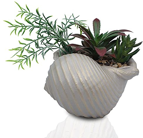 Künstliche Sukkulenten in Muscheln, Heimdekoration, Küstenstranddekorationen für Zuhause, Badezimmer, Ozean, Muschel-Dekor-Serie für Zuhause, Stranddekoration, Themenparty-Gastgeschenke (ohne