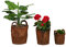 Relaxdays Set 3 Jardineras de Hoja de Palmera, Coco, Macetas Rústicas, Maceteros para Plantar, Tiestos Plantas, Natural, Hierro, 30 x 25 cm