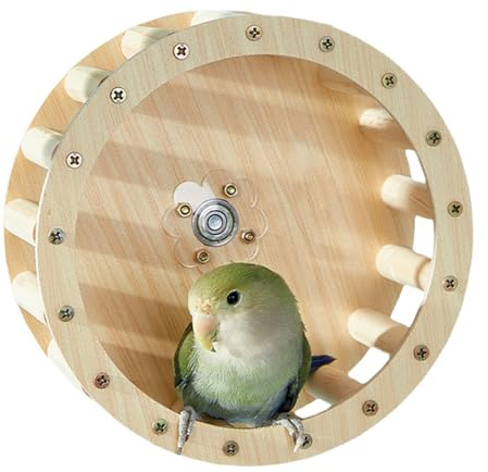 Papageoja löparhjul – Vogel Laufrad Für Papageien | tyst hamsterhjul | Kletter- & Spielzeug Für Vögel | Trainingsrad Papageienkäfig | Papageienspielzeug Zur Bewegung & Fitness | Sicheres Vogelspi