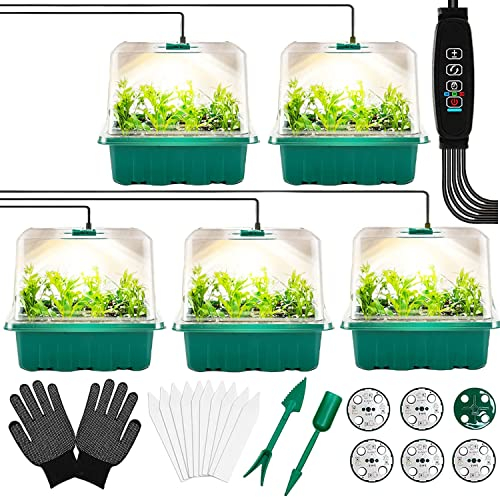 DAZZTIME 5 Stück Zimmergewächshaus Anzuchtkasten,Mini Gewächshaus Fensterbank Set,Mini Gewächshaus Anzuchtset,Mini Gewächshaus, Treibhaus Anzuchtschale mit Höhere Deckel,für Sämling Pflanzenkeimung