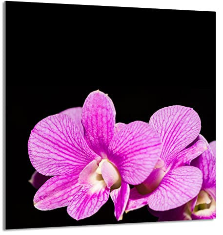 DarHaus Herdabdeckplatte 1 Teilig 60x65 cm Ceranfeldabdeckung Küche Elektroherd Induktion Herdschutz Küchenrückwand Spritzschutz Glasplatte Schneidebrett, Orchidee Violett