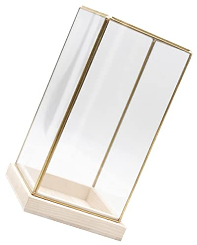 BESPORTBLE Antike Aufbewahrungsbox Messing Glas Transparent Aufbewahrungsbox für Sammlerstücke Tischvitrine mit Holzsockel Wohnzimmer Dekoration