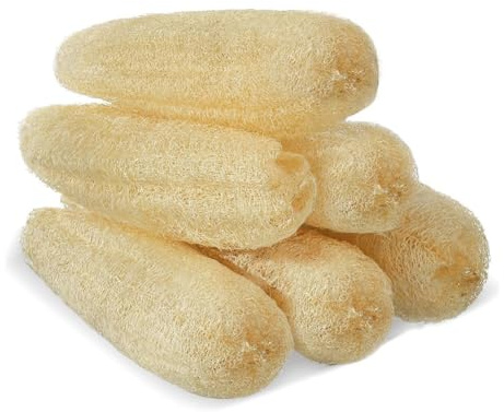 Agwuoetr 6pcs Loofah Exfoliant Le Corps Épurateur Biodégradable Nettoyage de Luffa pour la Cuisine Épurateur de Carrosserie pour Le Corps et Le Qui Vous Nettoient