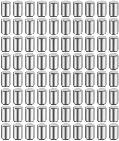 QUARKZMAN 80 Stk 5 mm x 8 mm Dübelstifte 316L Edelstahl Zylindrische Dübelstifte Regalstützpflöcke Stiftstange Befestigungselemente Metall Regalstifte Silberton