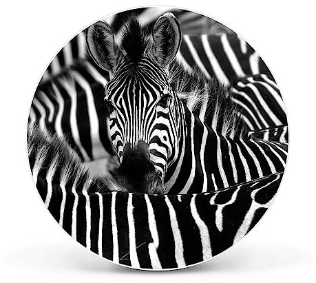 banjado Magnettafel Ø 47cm Weiß - Magnetwand aus Metall - Magnetpinnwand als Memoboard - Pinnwand Magnettafel Küche, Büro, Kinderzimmer inkl. 4 Magnete & Montageset - Zebras