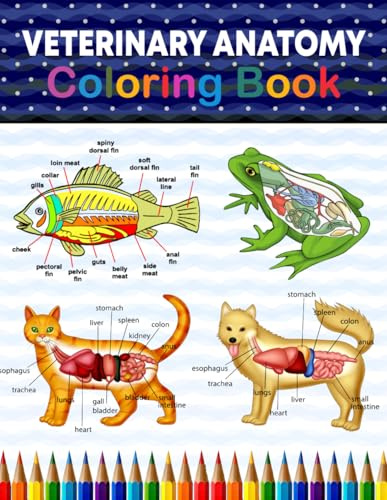 Veterinary Anatomy Coloring Book: The Anatomy Students Self Test Coloring Book. The New Surprising Magnificent Learning Structure For Veterinary ... gift For Vet Students and even Adults.