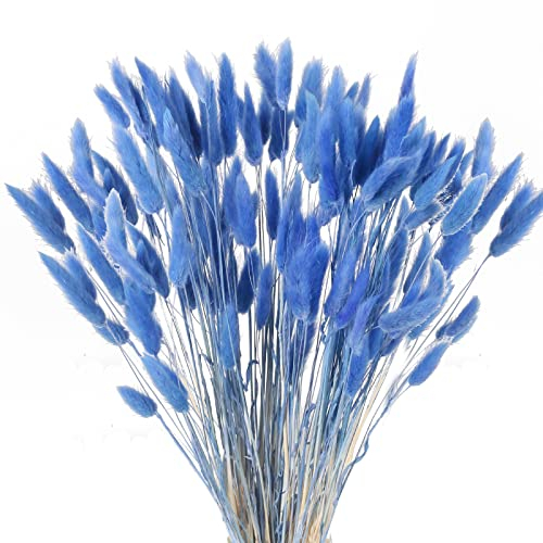 HUAESIN 120pcs Erba della Pampas Fiori Coda di Coniglio Pampas Decorative Blu Erba Coda di Coniglio Essiccati Pampas Secche Naturali per Decorazioni Casa Tavola Matrimonio