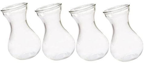 GOOHOCHY 4pcs Hyacinth Vase Mini Terrarium Glass Decor Glass Planter Wedding Vase Decorative Hydroponic Plant Hydroponic Container Decor Office