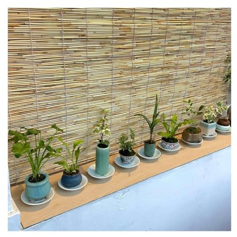 Bambus Vorhang Innen Lichtfilterung Wasserdicht Anti-UV Anpassbar für Garten Terrasse Balkon Fenster Bambus Rollos(60cmx80cm)