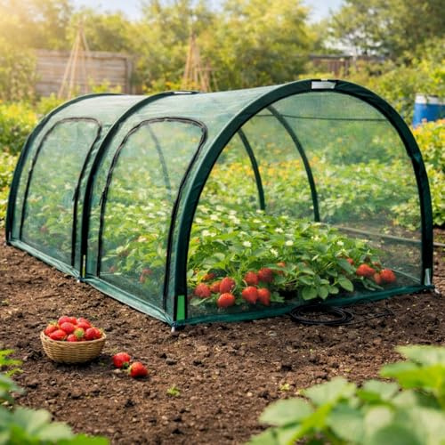 GardenSkill Pflanztunnel Gewächshaus 200x100cm | Insektennetz Netz Feinmaschig Garten Pflanzenschutzzelt und Hochbeet Abdeckung für Sämlinge Blumen Erdbeeren Gemüse | 2 Tür, Einfach zu Montieren