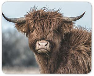 Destination Vinyl Ltd Highland Cow Scottish Wildlife Mouse Mat Pad - Computer #16296