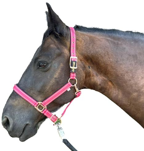 Halfter für Pferde mit Glitzer in Rosegold, Halfter Pferd in schwarz und pink, 2-Fach verstellbar (Pink Rosegold, Pony)