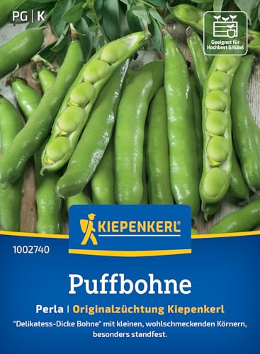 Kiepenkerl Puffbohnensamen Perla 1002740, Gemüsesaat | Delikatess-Dicke Bohne mit kleinen Körnern, grüne Puffbohnen, Gemüsesamen für gesunde Ernährung, Wuchshöhe 75 cm, standfest