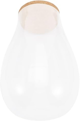 GARIOUANS Terrarium Verre DIY avec Mousse Écologique Bouteille Hydroponique avec Bouchon Décoration Végétale Intérieure pour Salon et Bureau