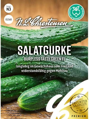 Salatgurke Burpless Tasty Green, F1 Samen | lange, schlanken und dunkelgrünen Früchte, Gewächshaus und Freiland