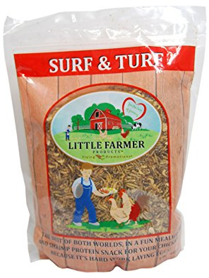 LITTLE FARMER PRODUCTS Surf & Turf Chicken Treats – Dried River Shrimp & Mealworms for Chickens | High-Protein Poultry Snack | Calcium & Omega-3 Support | Natural Feed Supplement, 3 lb