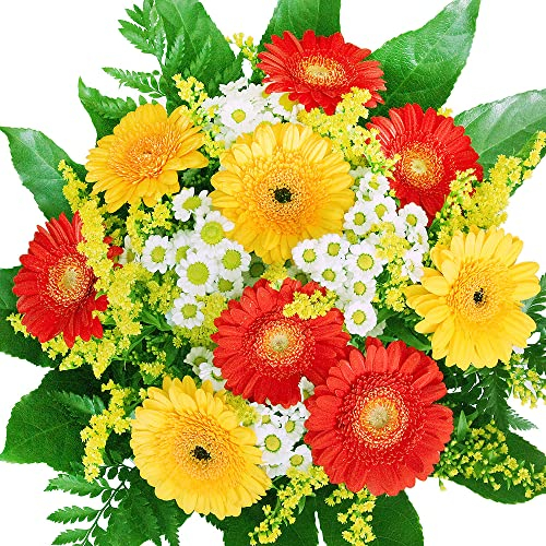 Gerbera Blumenstrauß Sommerzeit - Mit 9 Gerbera in Rot und Gelb - Inklusive gratis Grußkarte