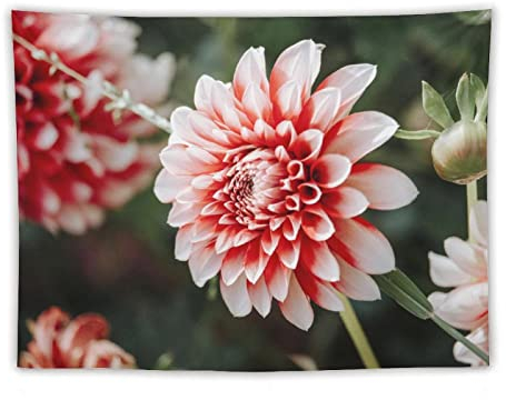 flechr Dahlien-Blumen-Pflanzenblätter, Blütenblätter, Knospenblüte, Flora-Druck auf Polyester, Wandkunst, Bild, Familie, Heimdekoration, Schlafzimmer, dekorative Wandteppiche, 152,4 x 203,2 cm
