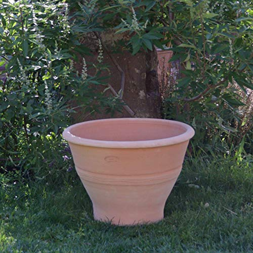 Palatina Werkstatt , Pflanzschale Pflanzgefäß aus Terracotta 50 cm winterfeste Tonschale Pflanzkübel für Garten,Terrasse, Artemesia 50 cm