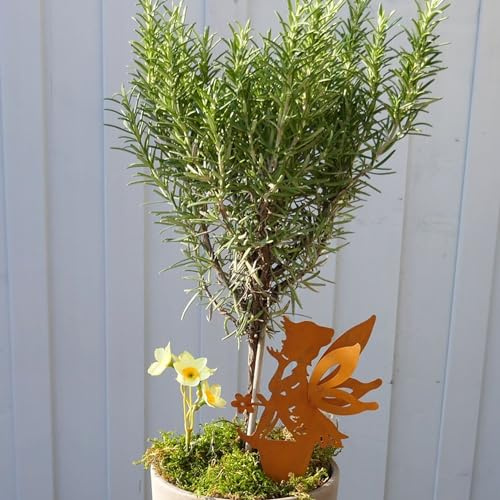 Gartenzaubereien Gartenstecker Elfenjunge - Fee- Elfe in Rostoptik mit Spieß Höhe 19cm für Töpfe und Balkonkästen