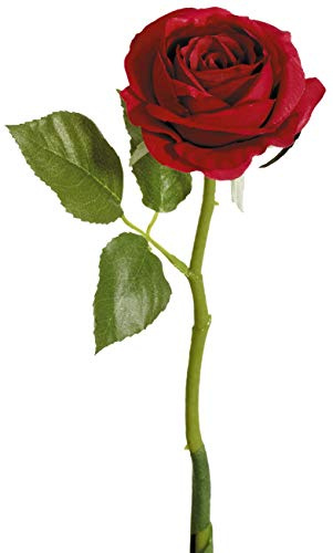 mucplants Rose 30cm rot Kunstblumen künstliche Blumen Seidenblumen Rosen Rosa Rosaceae