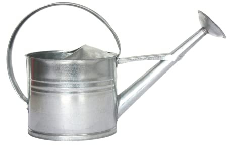 Esschert Design Zink-Gießkanne, Medium, Grau