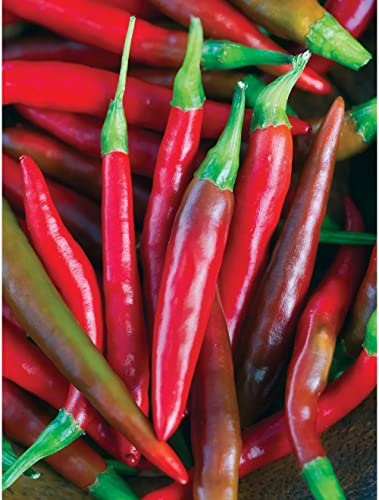200 Thai Chili Pepper Seeds, Non GMO, USDA Certified Organic, Produce of USA
